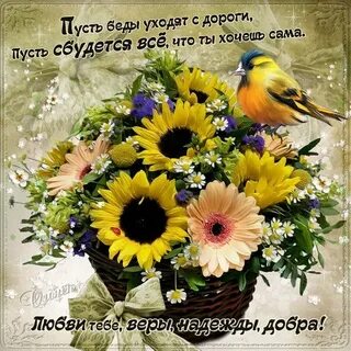 Добрых надежд в этом дне