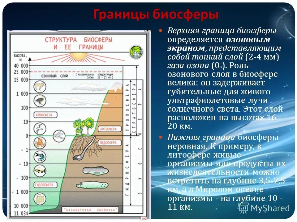 География 5 класс стр 68 1