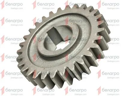 Z 29 31