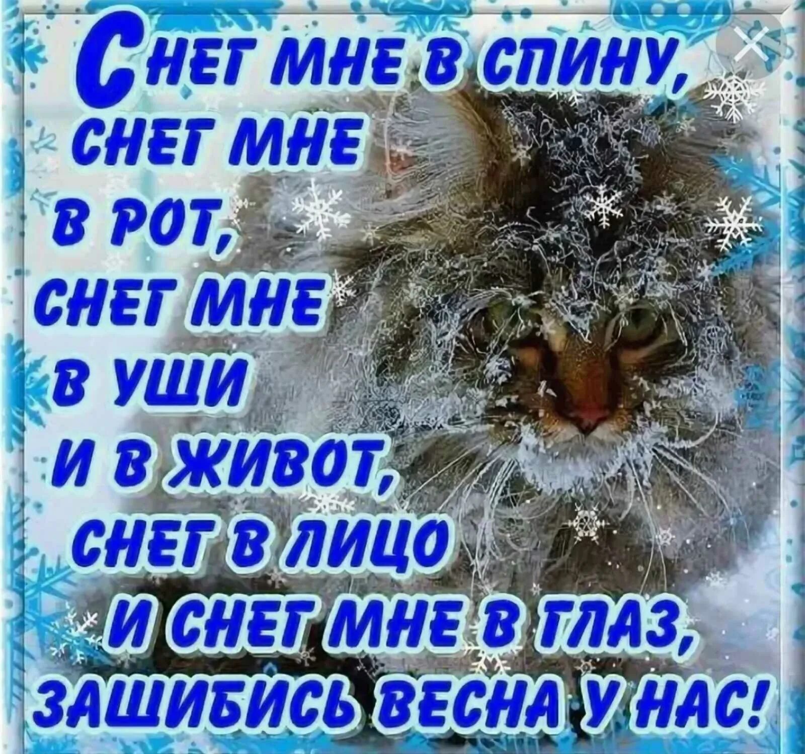 Открытка снег в мае