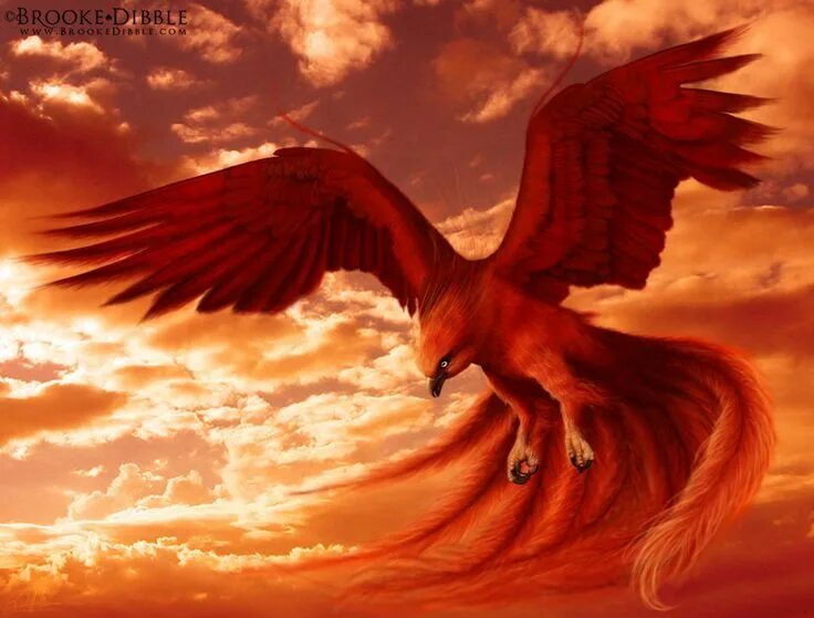 Ред феникс. Феникс арт. Мифический Орел. Красный Феникс. Птица Феникс фото.