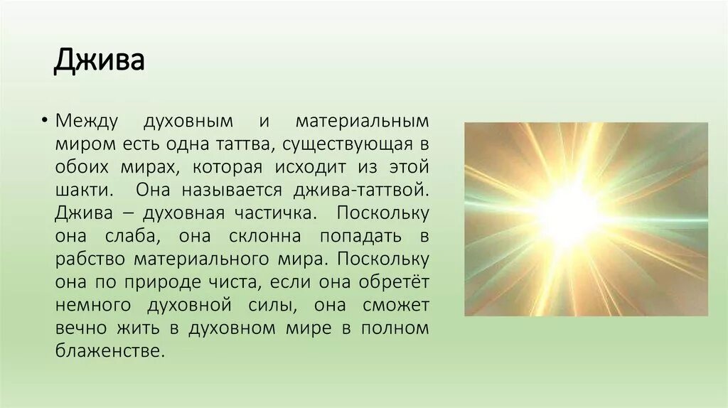 Джайнизм джива и аджива. Джайнизм философия кратко. Жива славянская богиня. Джива богиня славян. Джива это.