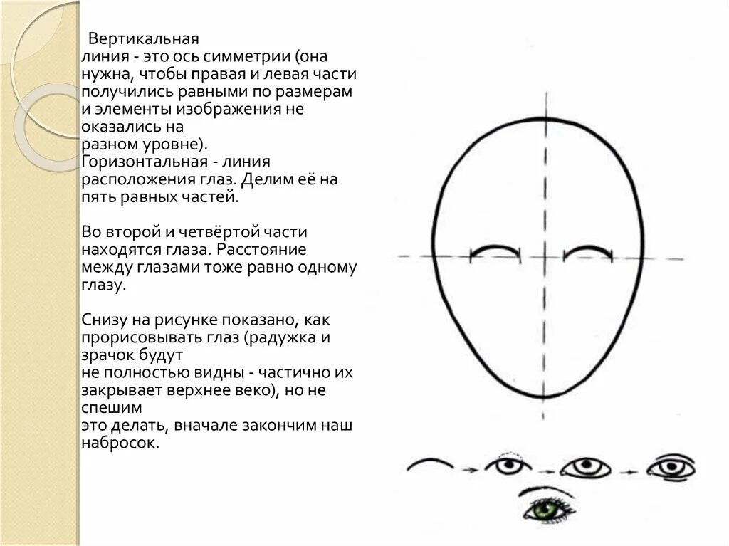 Расположение глаз. Пропорции лица человека при рисовании портрета схема. Портрет поэтапно 6 класс. Пропорции лица глаза.