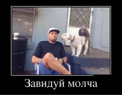 Завидуйте молча