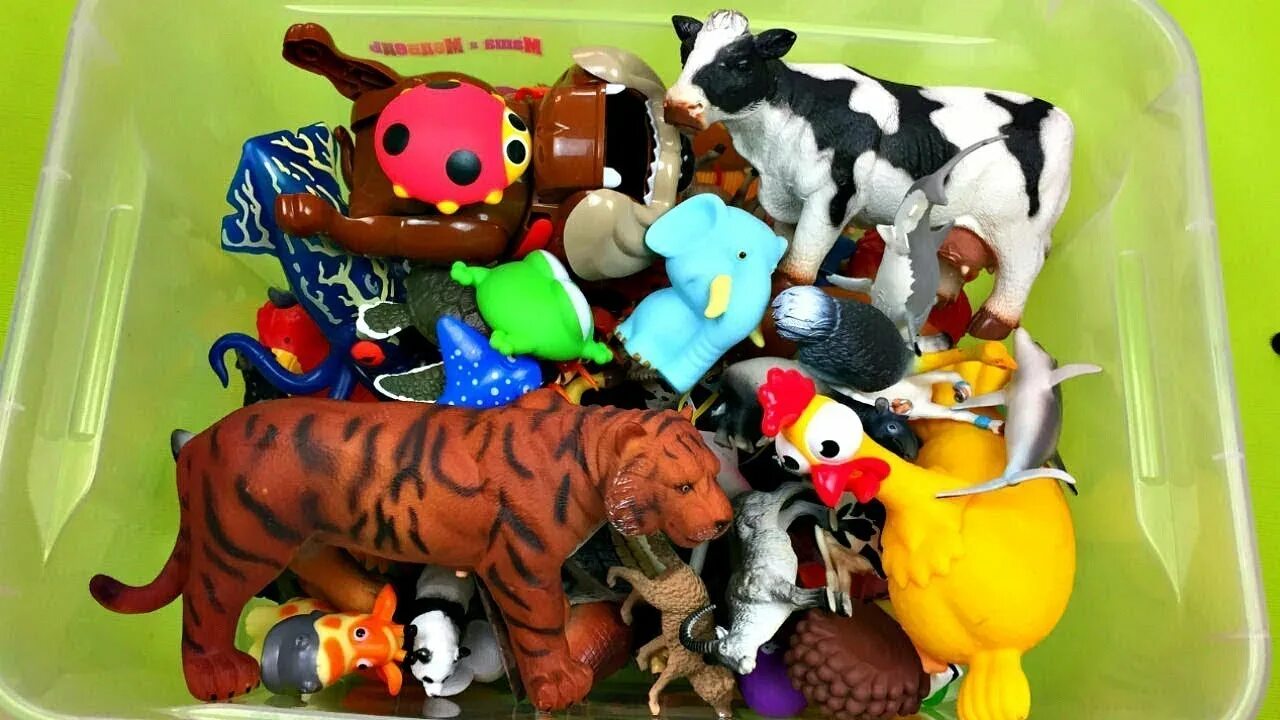 Kids box wild animals