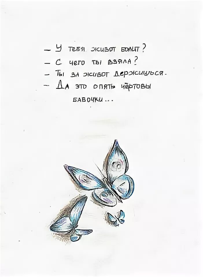 Бабочки в животе цитаты. Высказывания про бабочек в животе. Фразы про бабочек. Афоризмы про бабочек в животе. Бабочки в животе песня текст