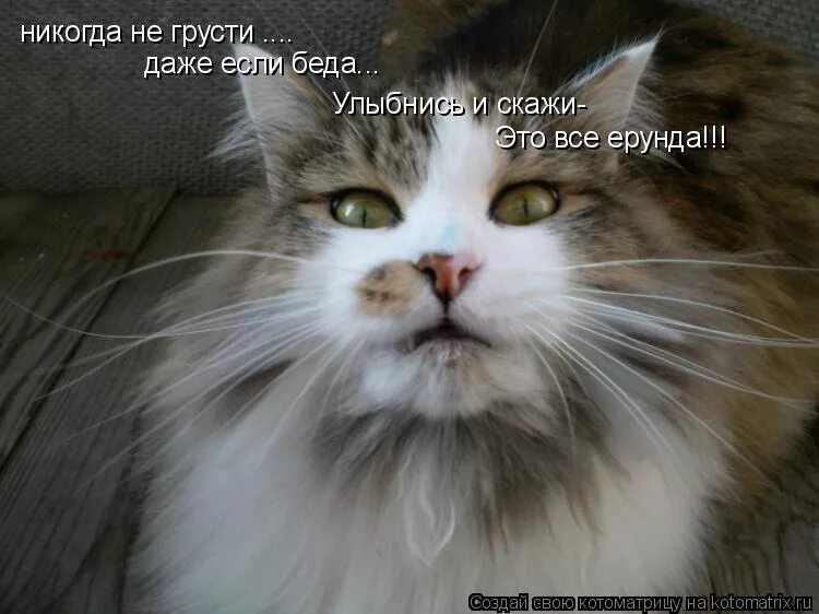 Вокруг меня тишина. Песня даже если нет сил. Песня даже если нет сил. Девушка на пристани. Никогда не грусти.