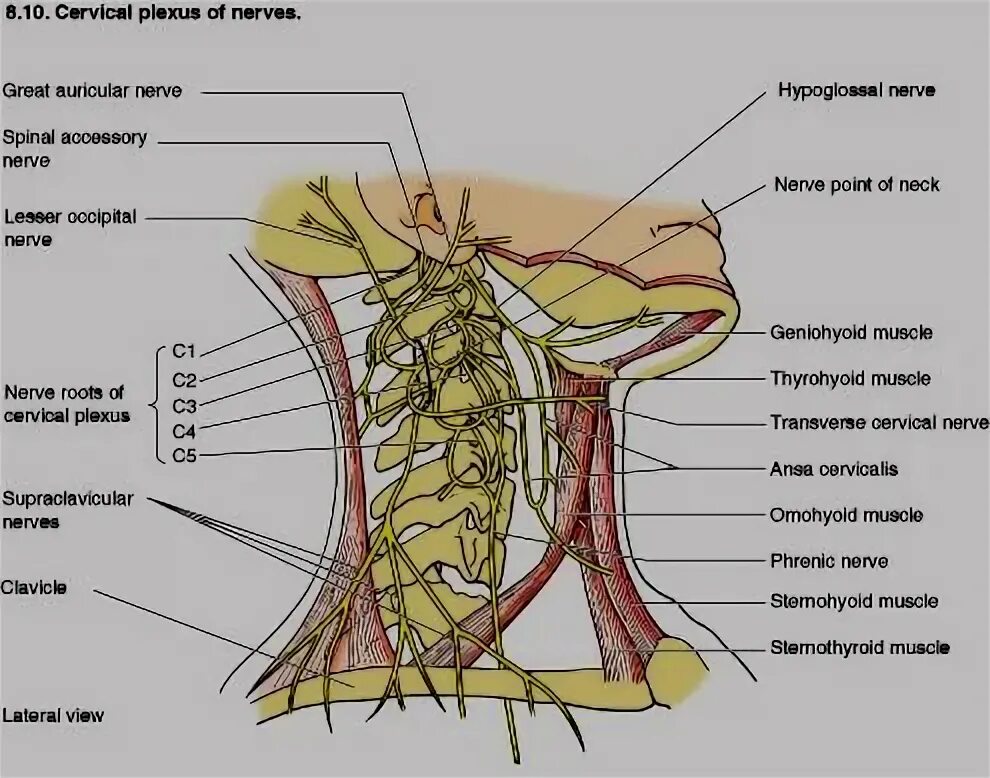 Getting on nerve перевод