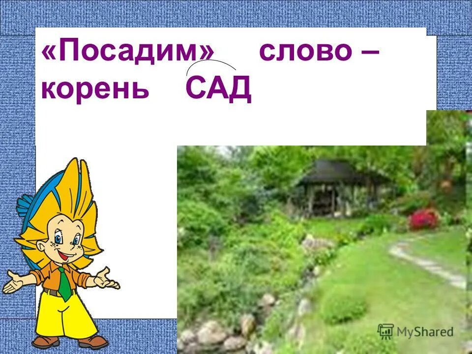 Корень слова посажено