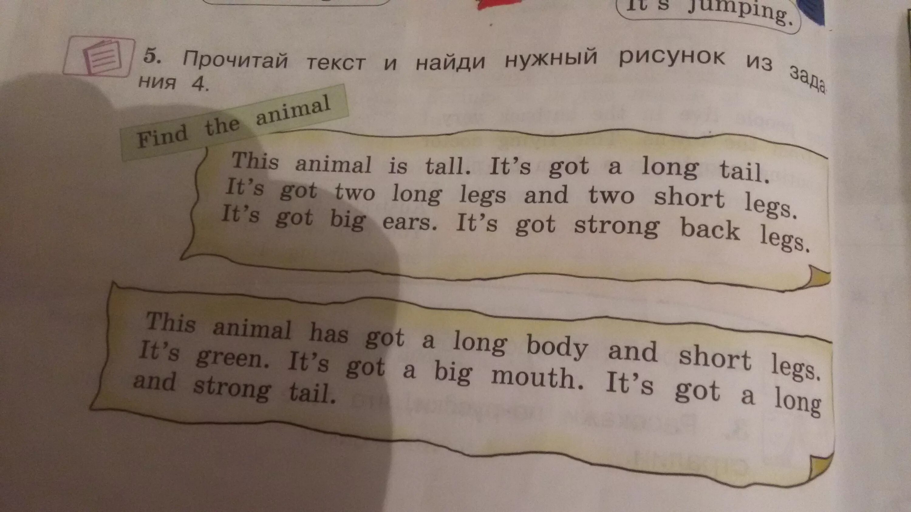 Cows have got long Tails. Rabbits have got short Ears перевод на русский. He's got a long Tail he hasn't got short Tail картинка описать. It s got a long Tail it s.