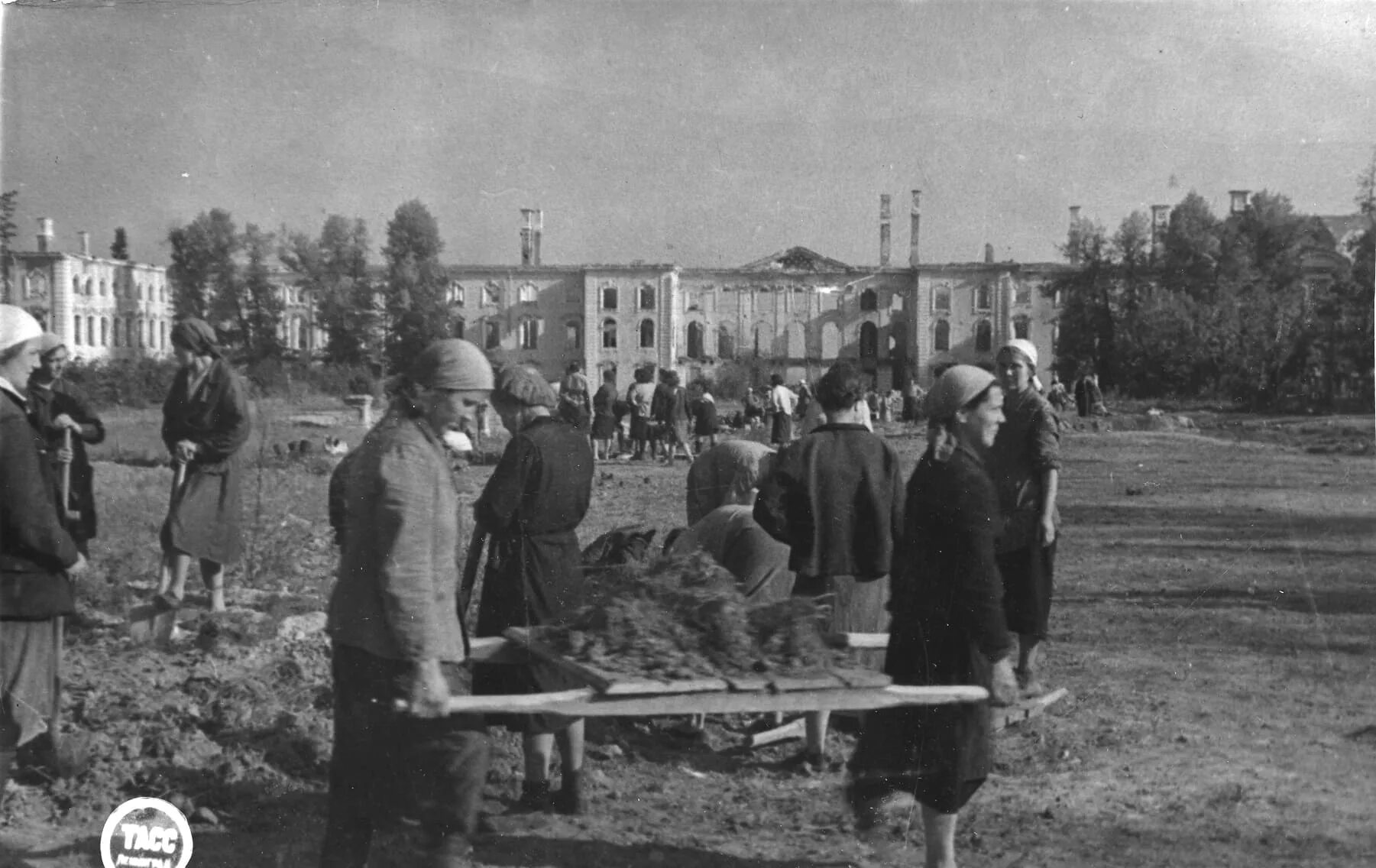 Петергоф после Великой Отечественной войны. Восстановление Петергофа после Великой Отечественной войны. Петергоф 1944. Петергоф в блокаду Ленинграда.