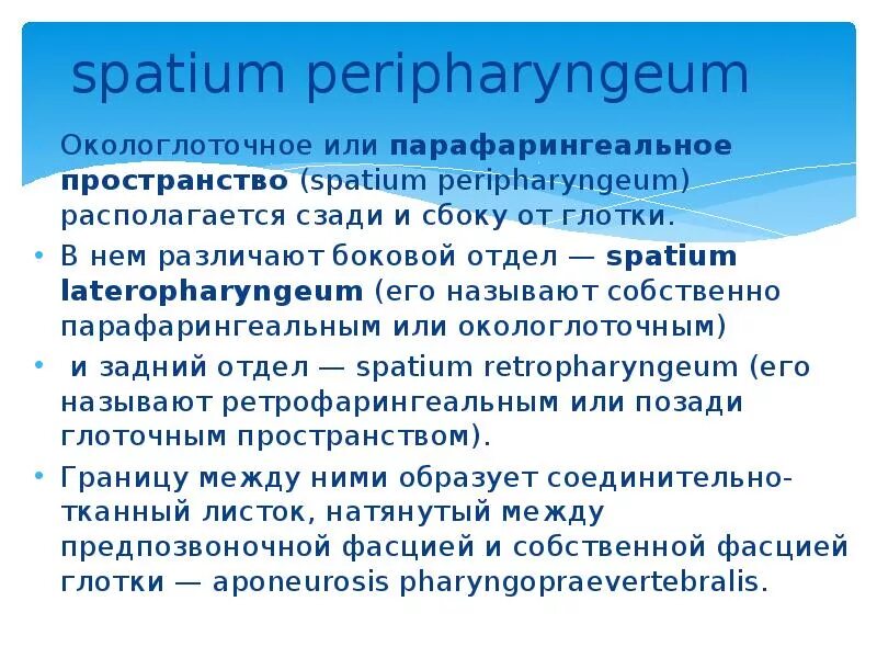 Spatium retropharyngeum. Парафарингеальное пространство. Парафарингеальное пространство границы. Парафарингеальная клетчатка. Окологлоточное или парафарингеальное пространств.
