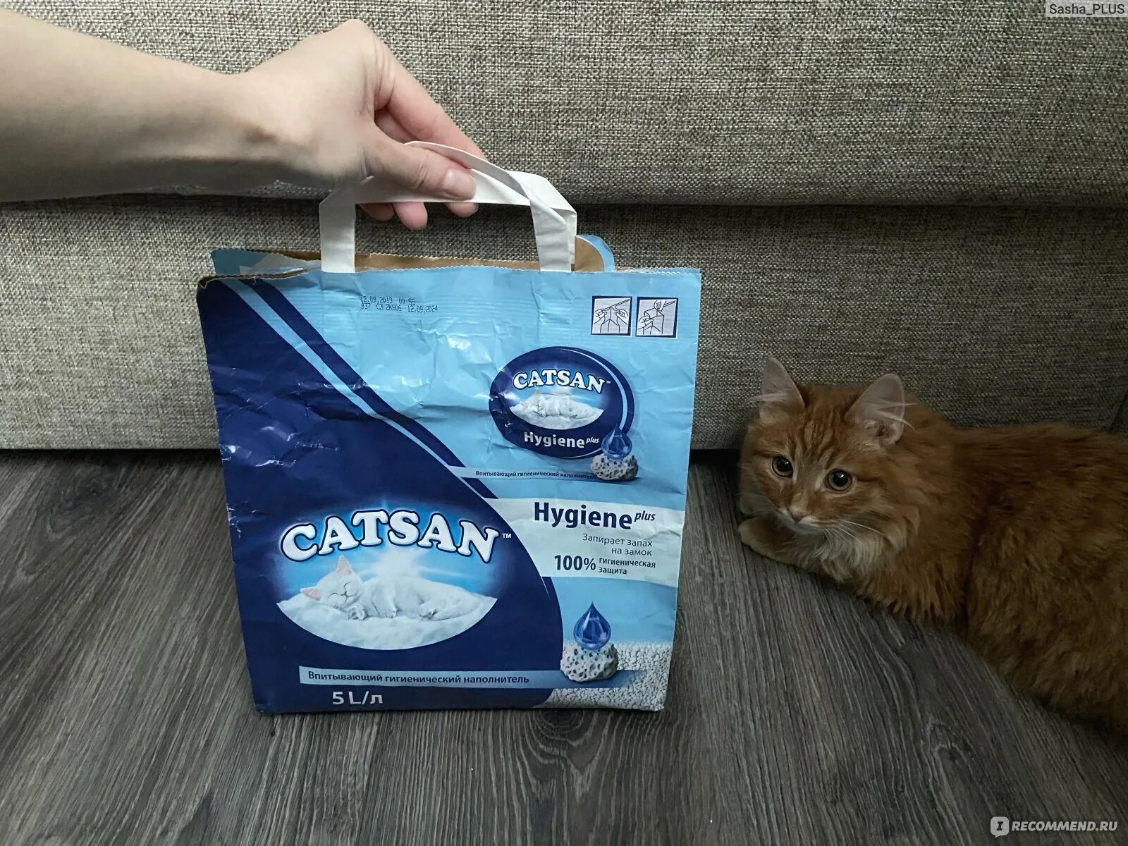 Что делать есть котенок ест наполнитель. Napkins наполнитель древесный наполнитель. наполнитель для кошачьего туалета катсан. наполнитель силикагель для кошек катсан. наполнитель для кошачьего туалета кит кат.