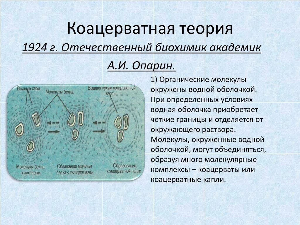 Коацерватная гипотеза. Опарин коацерватная теория. Коацерватная гипотеза происхождения жизни. Белково-коацерватная теория Опарина. Белково-коацерватная теория Опарина схема.