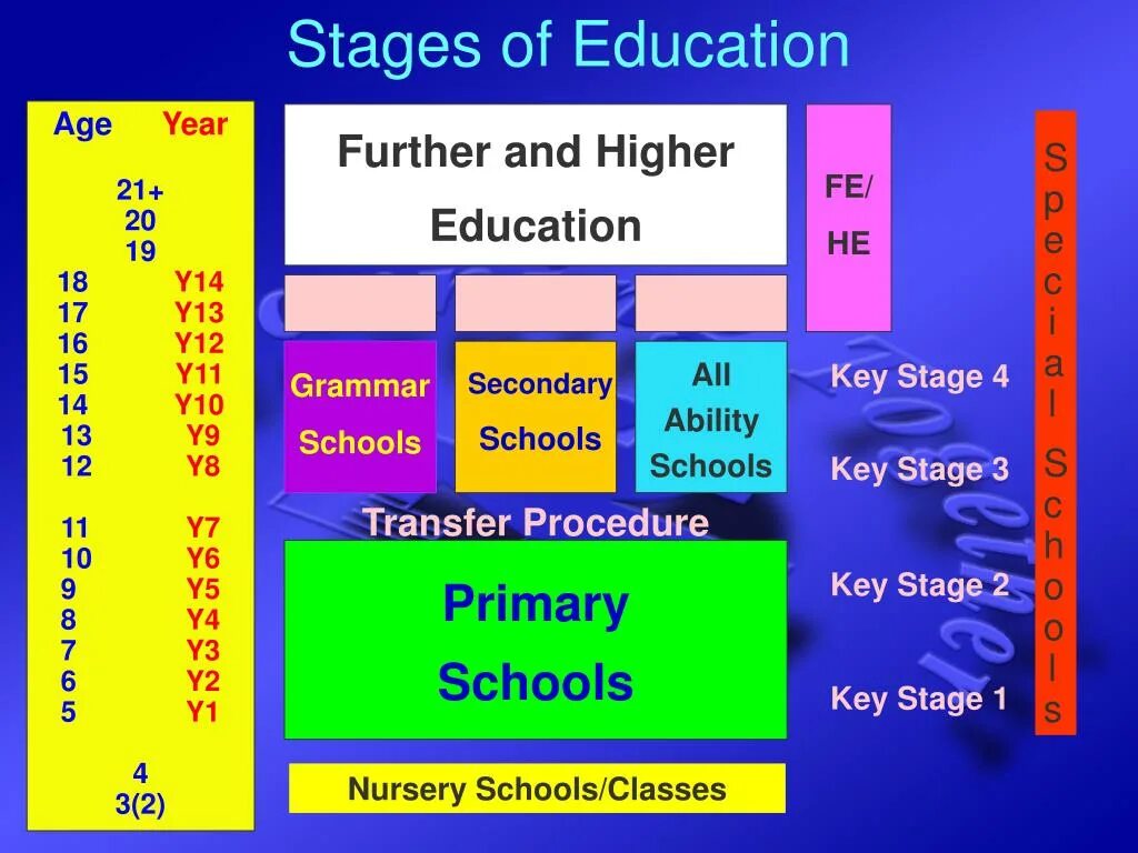 Stages of Education. Educational Stages. Key Stage школа. Stages of School Education.