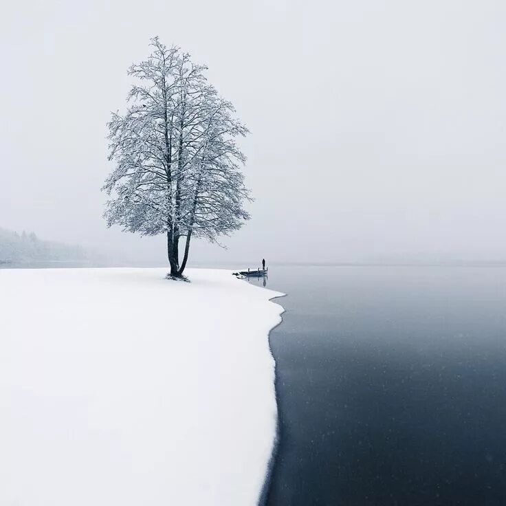 Полна тайн хмурая тишина зимнего. Финский фотограф Микко Лагерстедт. Одиночество зимой. Зима Эстетика. Красивый белый пейзаж.
