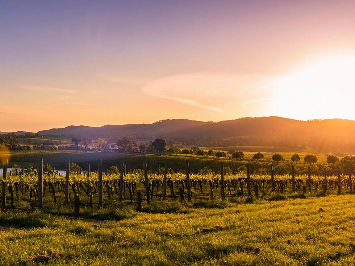 Река ярра австралия. Долина ярра австралия. Долина реки ярра австралия. Долина ярра австралия. Долина ярра австралия.