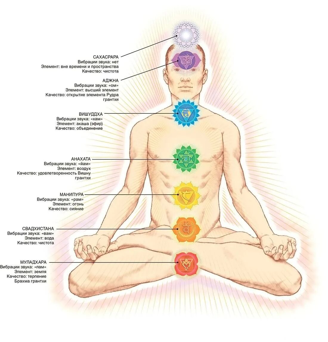 Манипура чакра на теле человека. Чакра солнечного сплетения Манипура. Чакры схема расположения. Анахата Манипура чакра. Чакры названия и расположение