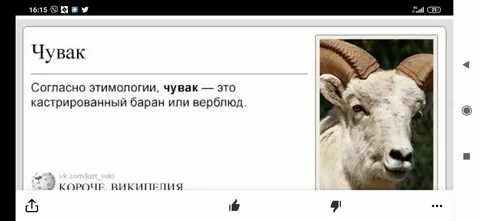 Что обозначает если парень