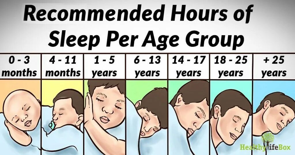 4 hours of sleep. National sleep foundation нормы сна. sleep формы. recommended sleep. wont be sleeping время.