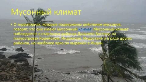 Муссоны характерны для