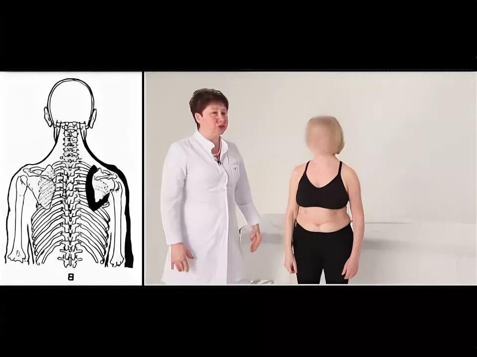 Что такое л ф. Что такое л ф