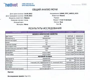 Анализ мочи при раке мочевого