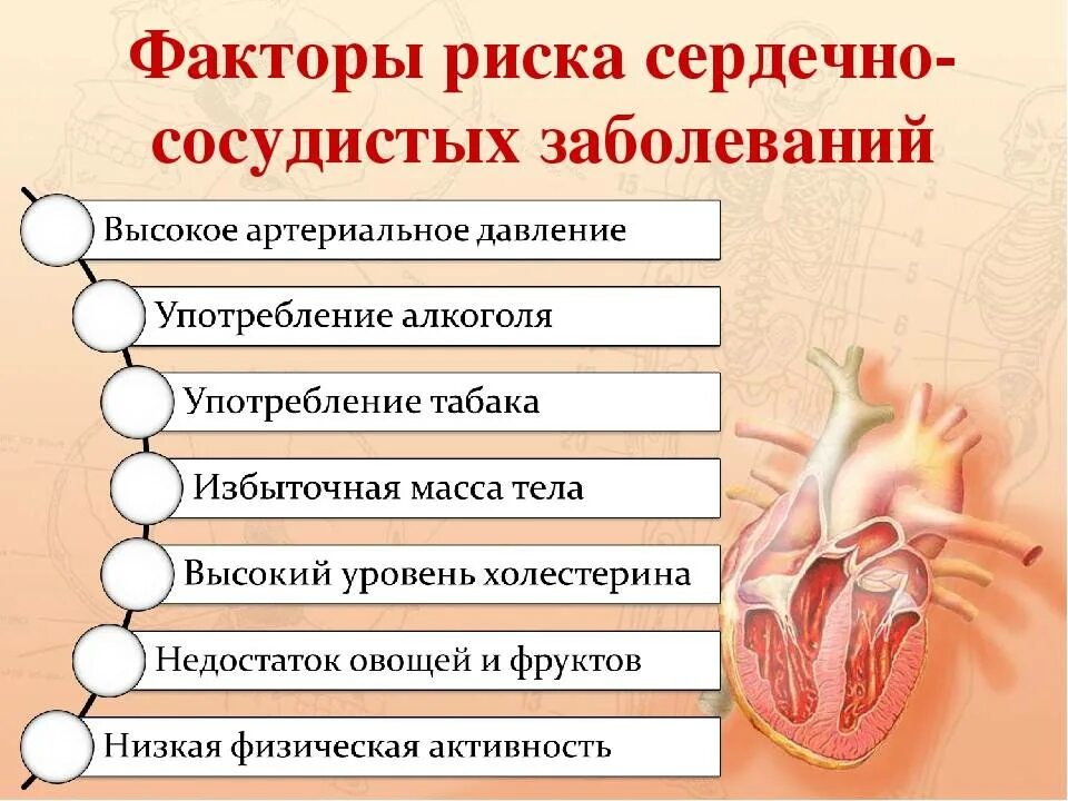 Сердечные болезни. Факторы риска сердечно-сосудистых осложнений. Факторы риска развития сердечно-сосудистых заболеваний. Факторы риска развития болезни сердечно сосудистой системы. Основные факторы риска заболевания ССС.
