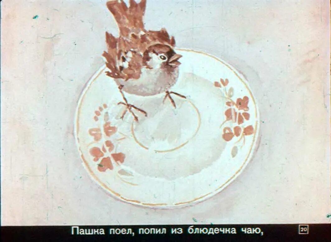 Иллюстрации к рассказу паустовского растрепанный воробей. Иллюстрации к рассказу паустовского растрепанный воробей. Растрепанный воробей. Воробей пашка паустовский. Иллюстрации к рассказу паустовского растрепанный воробей.