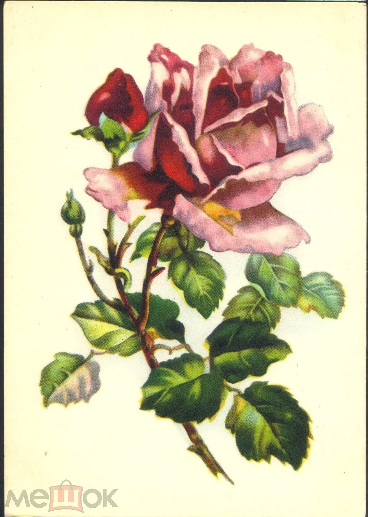 Советские открытки с розами. Старые открытки с розами. Винтажные открытки с цветами.