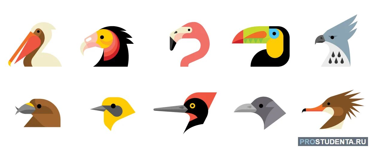 Птичка форма для пряников. Строение клюва птицы. Пряник "птички". Форма птицы. Печенье в виде птичек.