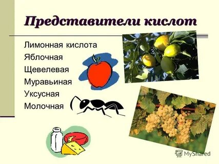 Представители кислот