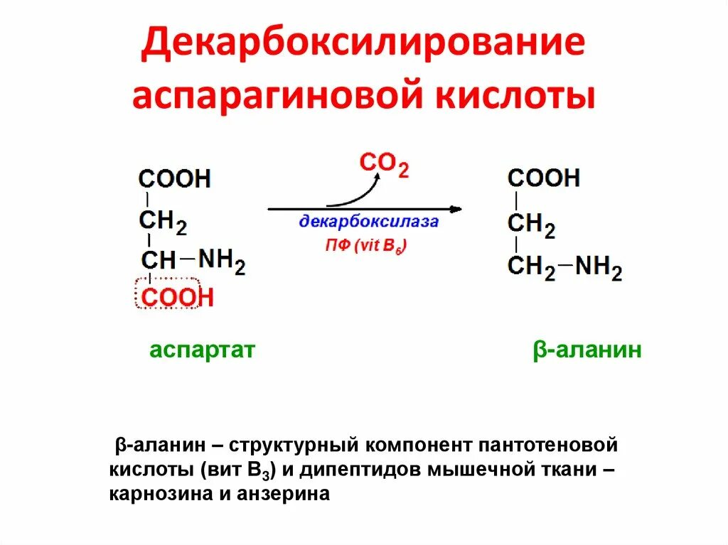 Декарбоксилирование щавелевой кислоты аспарагиновая. Реакция декарбоксилирования аспарагина. Декарбоксилирование аланина реакция. Декарбоксилирование Альфа аминокислот.