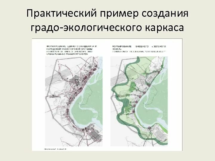 Природный каркас территории. Природно-экологический каркас. схема зеленого каркаса.