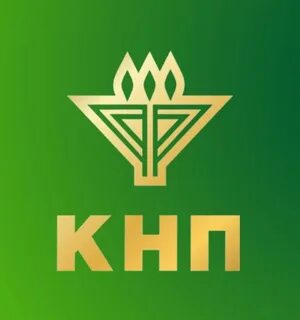 Кнп без нарушений