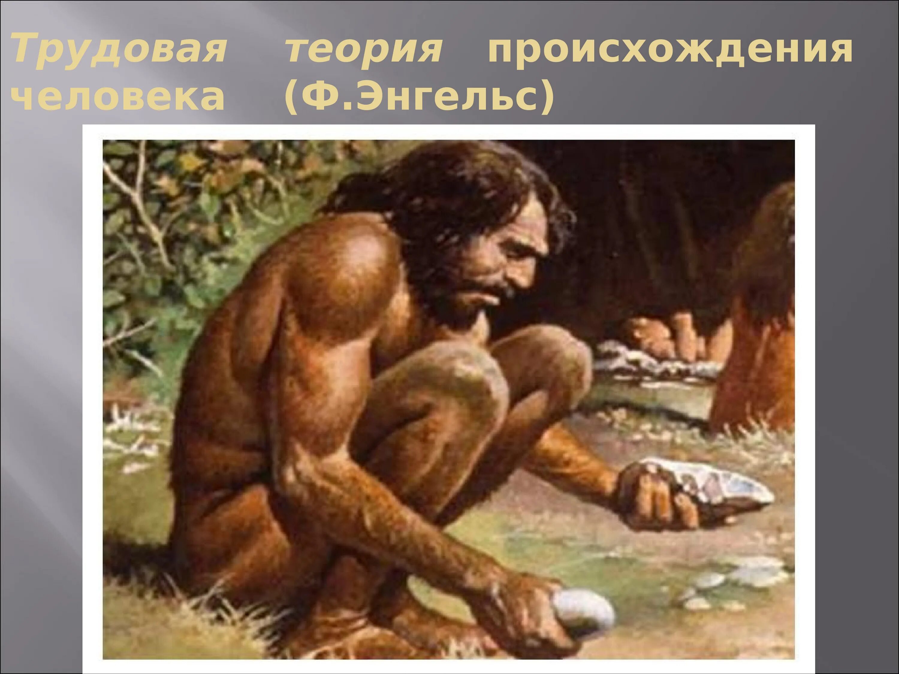 Первобытный теории. Человек разумный разумный homo sapiens sapiens. Человек разумный характеристика. Первобытные люди. Трудовая теория возникновения человека.