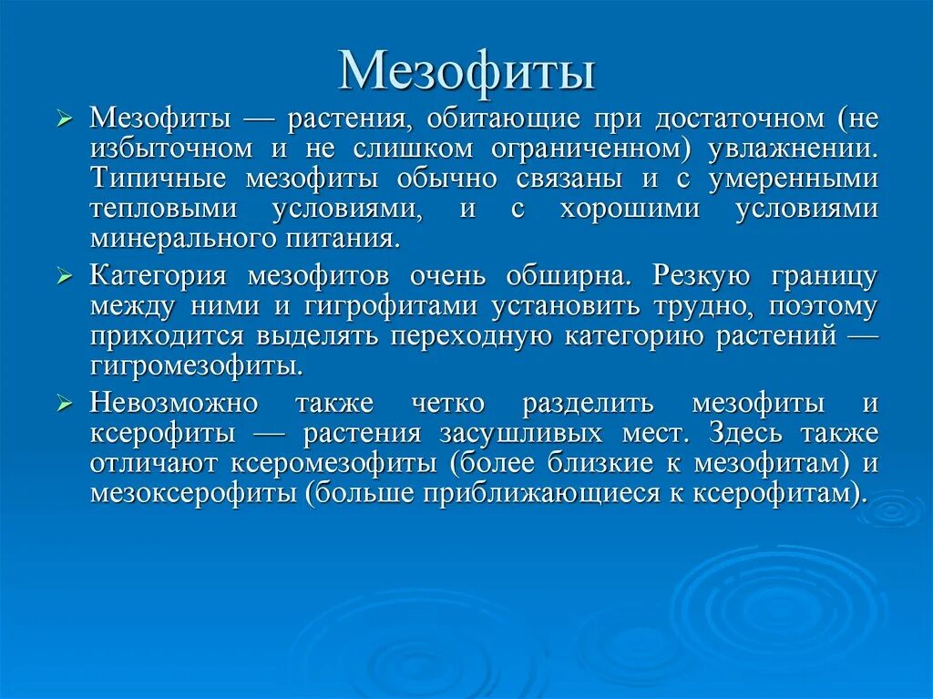 К мезофитам относятся растения