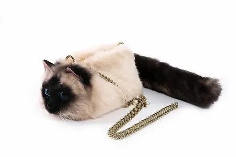 Вайлдберриз кошке