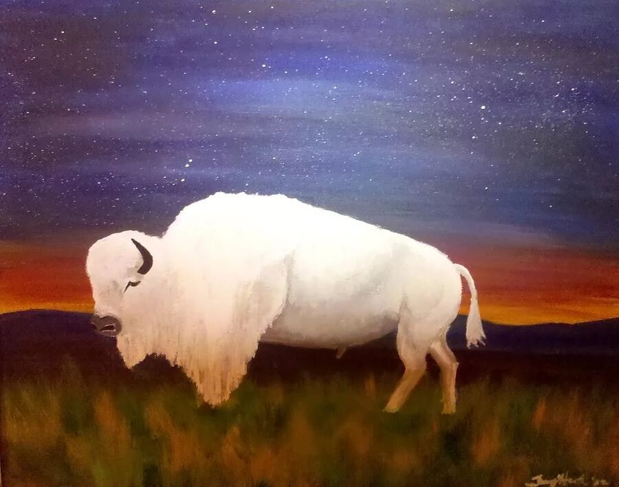 Белый буйвол. Бизон альбинос. Великий белый Бизон. Картинки белого буйвола.