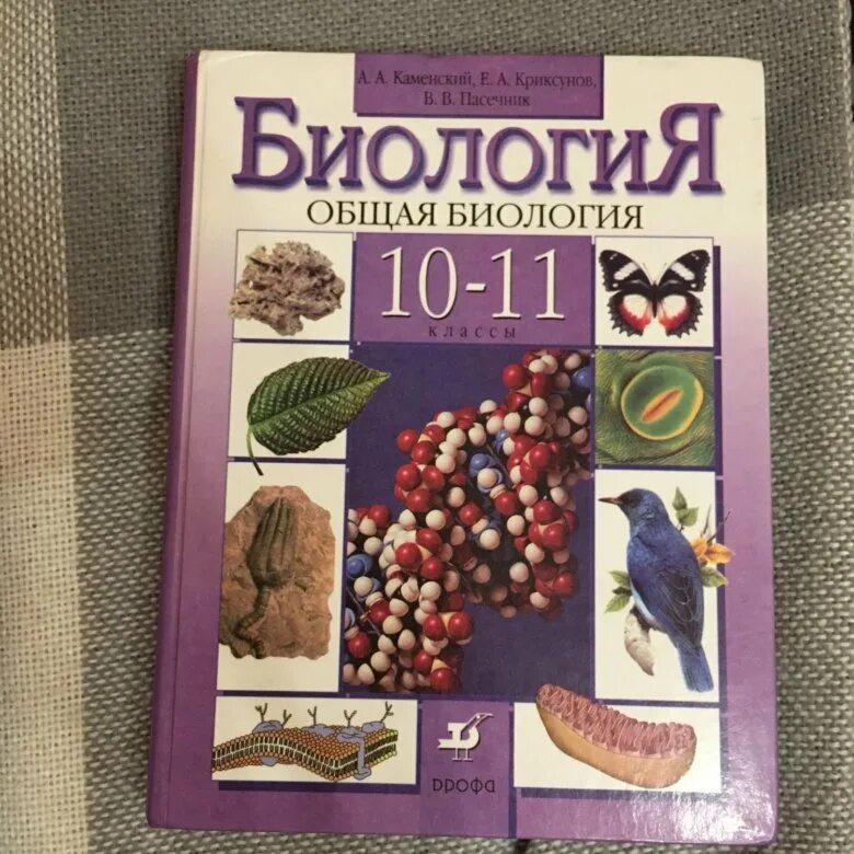 Учебник биологии 11 класс пасечник каменский