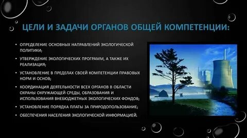 Органы власти общей компетенции это