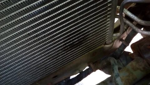 Акцент тагаз фреон