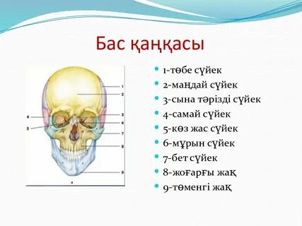 Хардкор топтық секс порно онлайн қыздармен