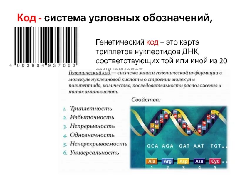 Генетический код триплет нуклеотидов. Генетический код. Генетический код человека. Генетические коды человека. Коды ДНК.