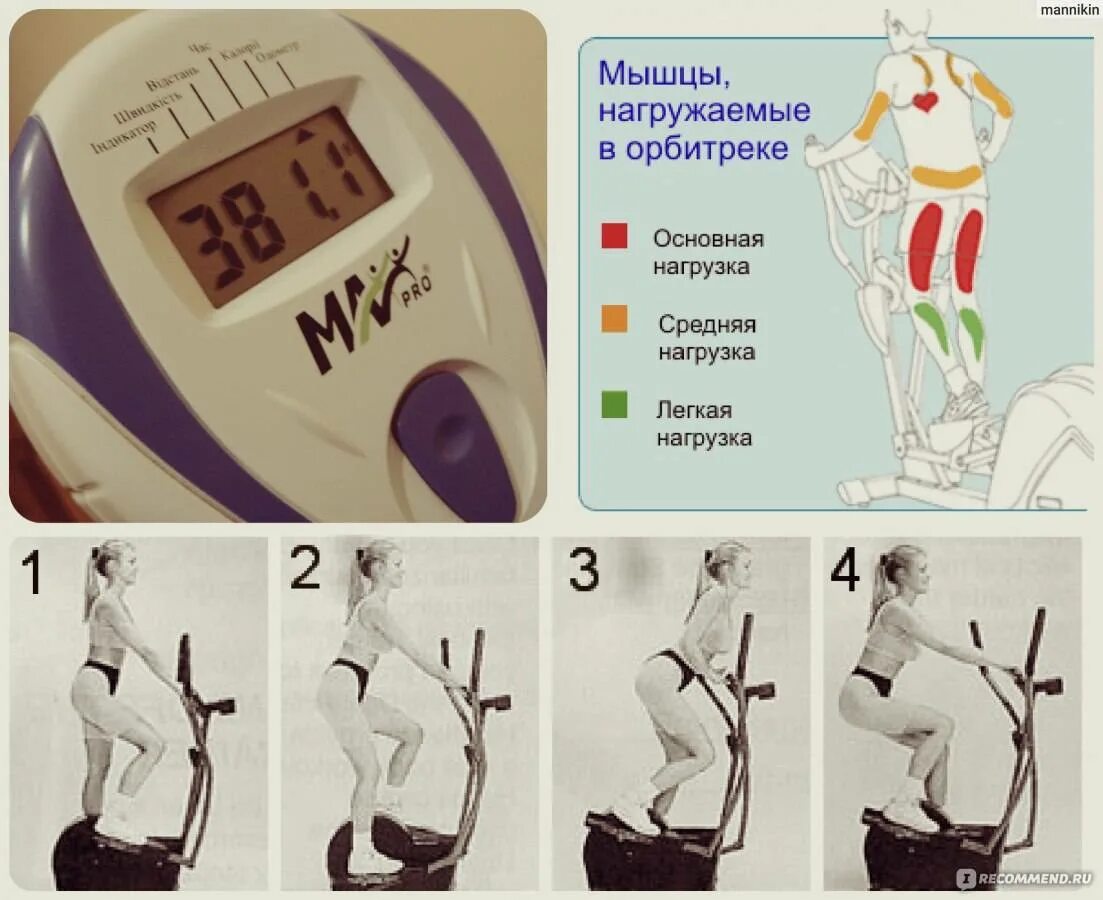 Сколько раз можно пройти тренажер ответ. Эллиптический тренажер motivefitness mf986ems. эллиптический тренажер мышцы. тренировка на эллипсоиде для похудения. орбитрек группа мышц.