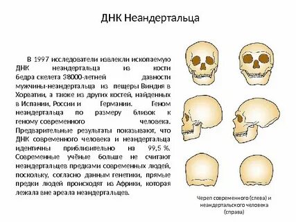 Генетические предки