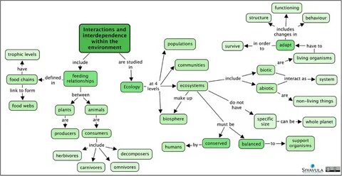 Interaction environment