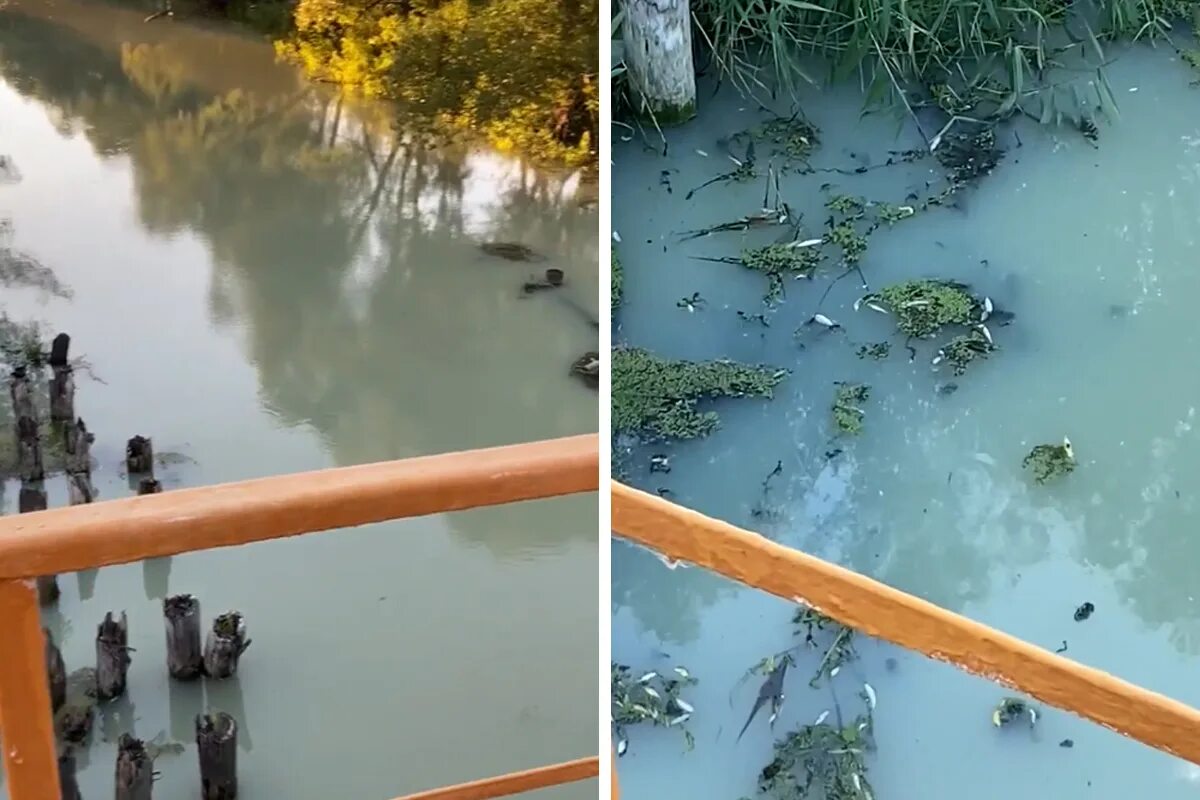 Река Тюрюшля. Река под водой. Загрязнение вод в Башкирии. Стерлитамак вода.