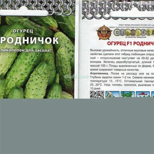 Огурец родничок f1 описание отзывы фото посадка
