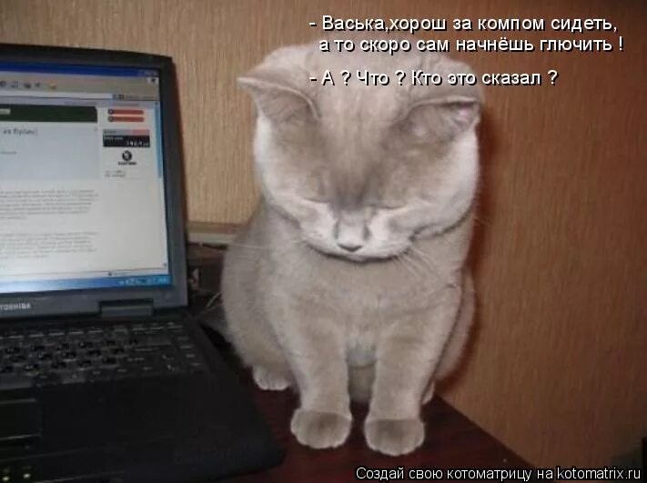 Режим ожидания чуда включен. Телевизор в режиме ожидания. Режим ожидания чуда. Режим ожидания. Режим ожидания.